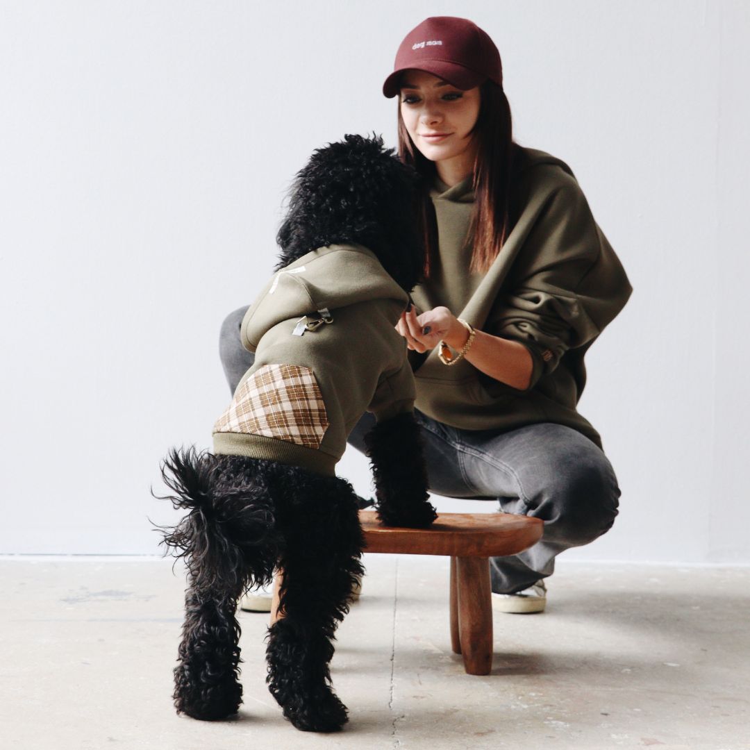 MB: Scott Pet Hoodie