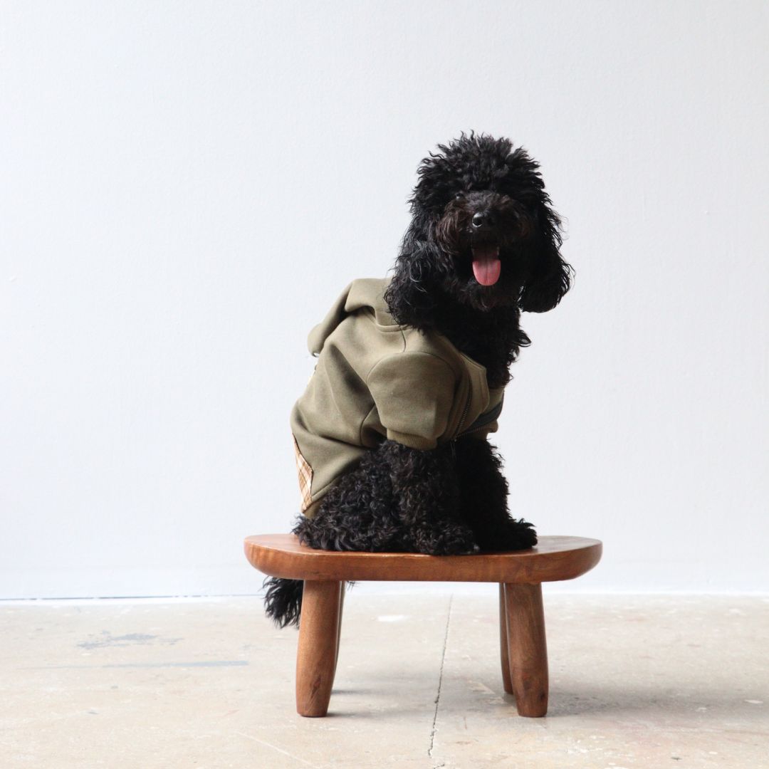 MB: Scott Pet Hoodie
