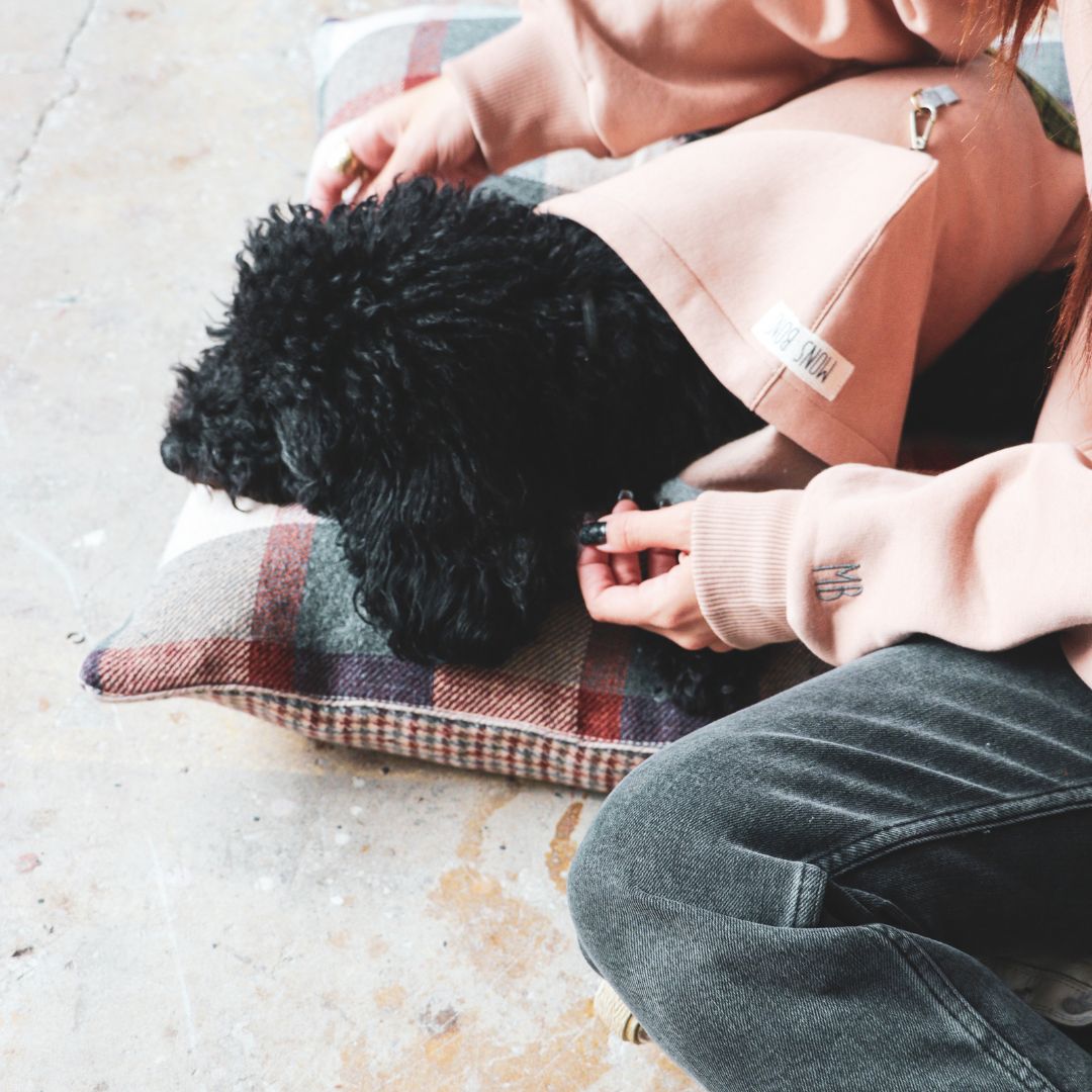 MB: Scott Pet Hoodie Pudra