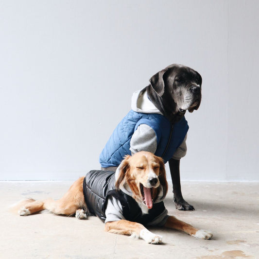 Mons Bons Puffer Mont - Mavi