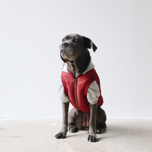 Mons Bons Puffer Mont - Bordo