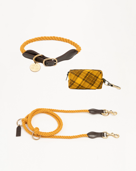 3lü Yürüyüş Seti Hardal