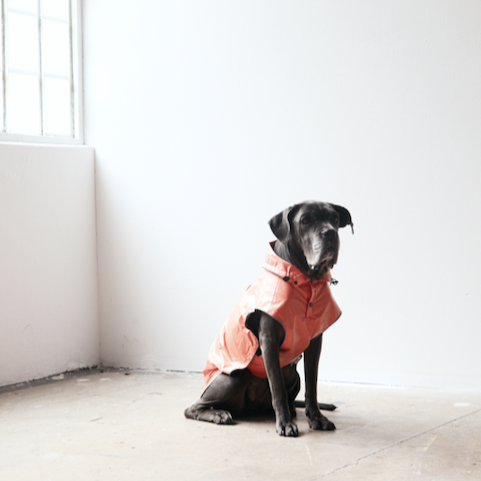 Mons Yağmurluk Turuncu