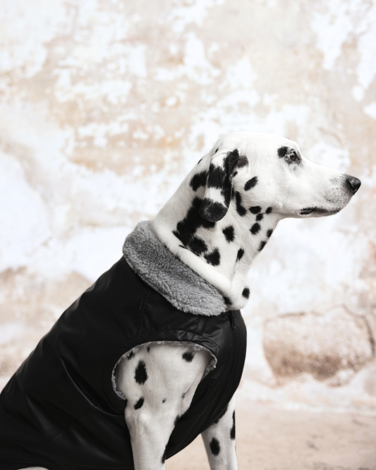BLANCHE Çift Taraflı Kışlık Ceket Siyah