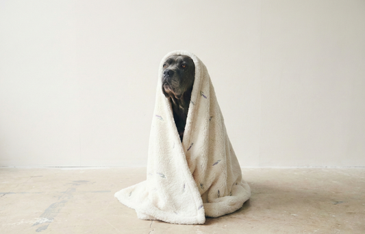 A Space Thoughtfully Designed for Togetherness