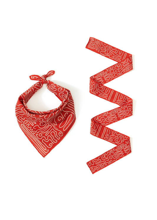 Kırmızı Abstract Print Pet Bandana & İnce Fular Set
