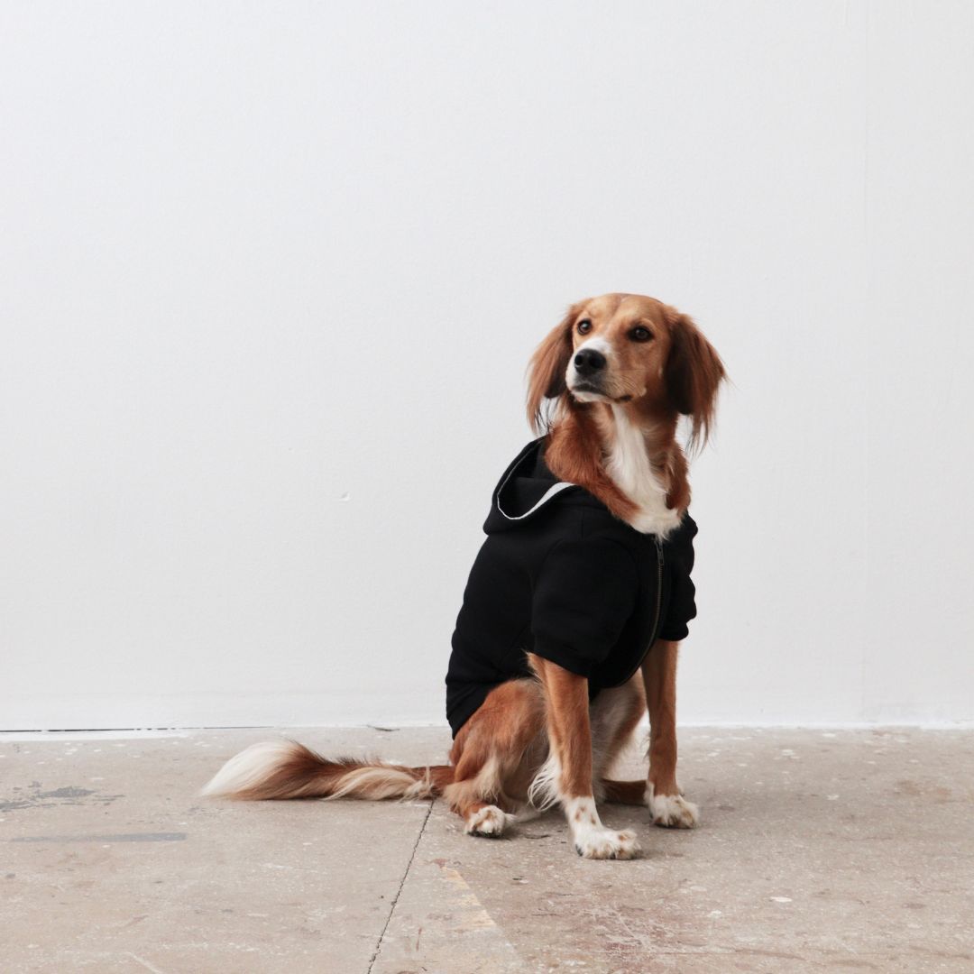 Mons Bons: Scott Köpek Hoodie