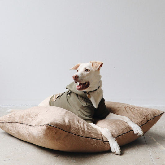 Velvette Stress-Free Pet Yatak Bej