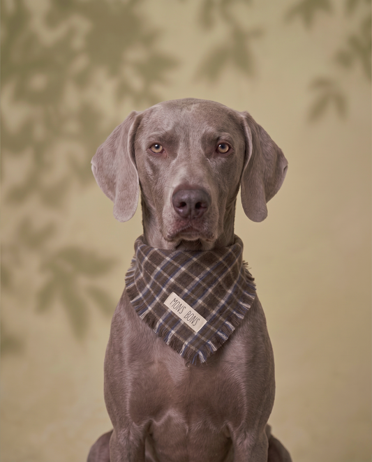 Aero Pet Bandana Kahverengi
