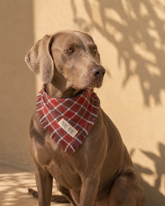 Aero Pet Bandana Kırmızı