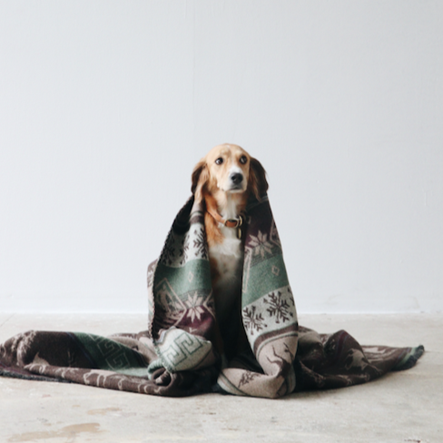 Woolin' Battaniye Kahverengi - Yılbaşı Özel