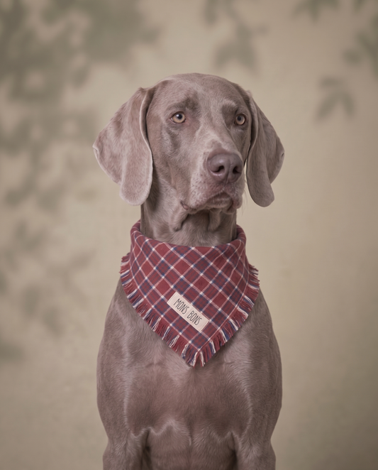 Aero Pet Bandana Kırmızı