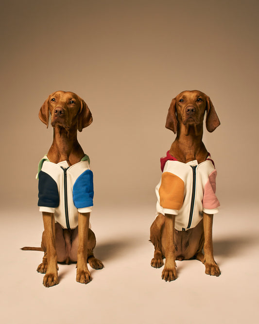 Mons Bons x Bassigue Pastel Colored Pet Hoodie