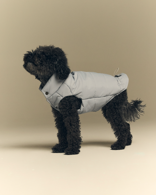 Mons Bons Puffer Yelek - Gri