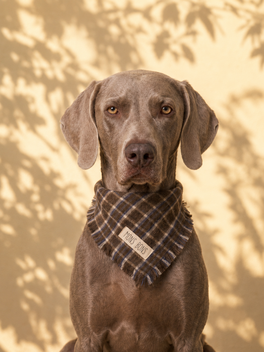 Aero Pet Bandana Kahverengi